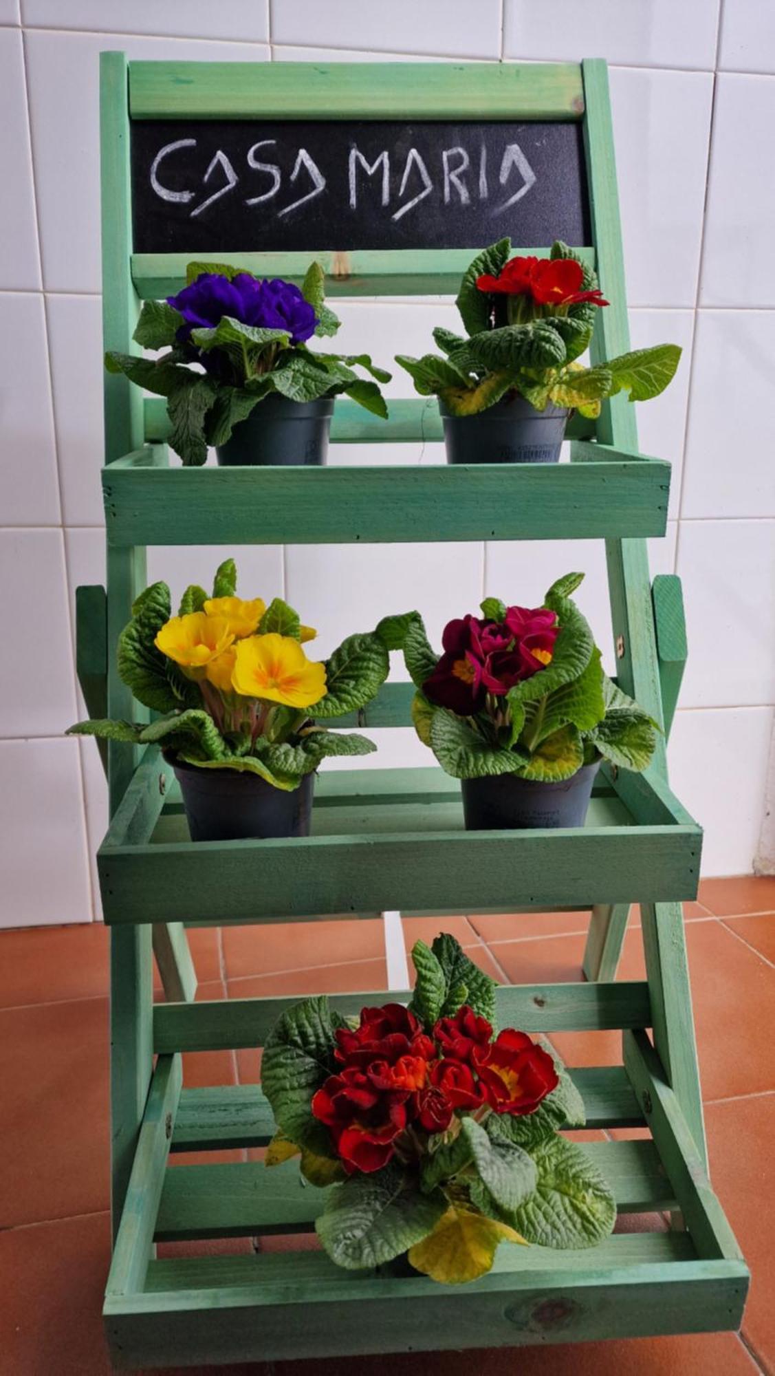 Casa Maria Appartement Olivenza Buitenkant foto